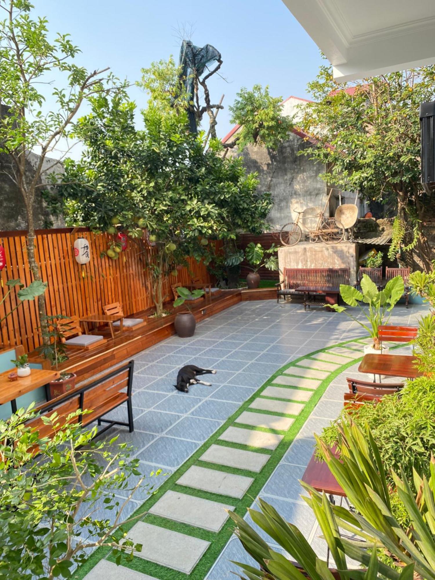 Ohayo Tam Coc Homestay Ninh Binh Eksteriør billede