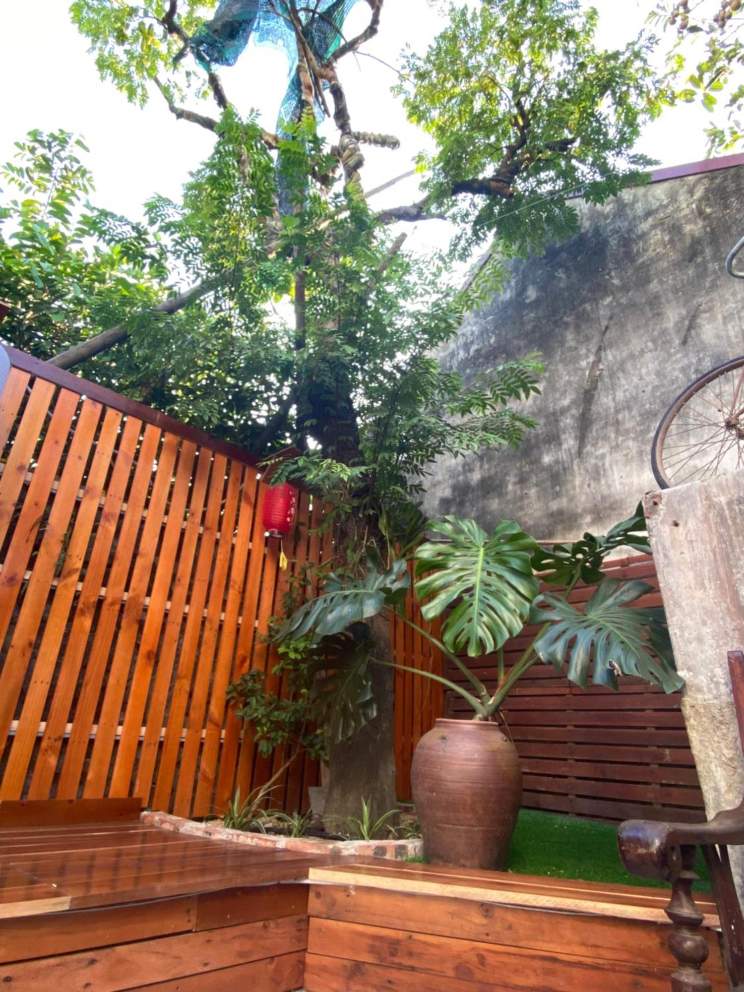 Ohayo Tam Coc Homestay Ninh Binh Eksteriør billede