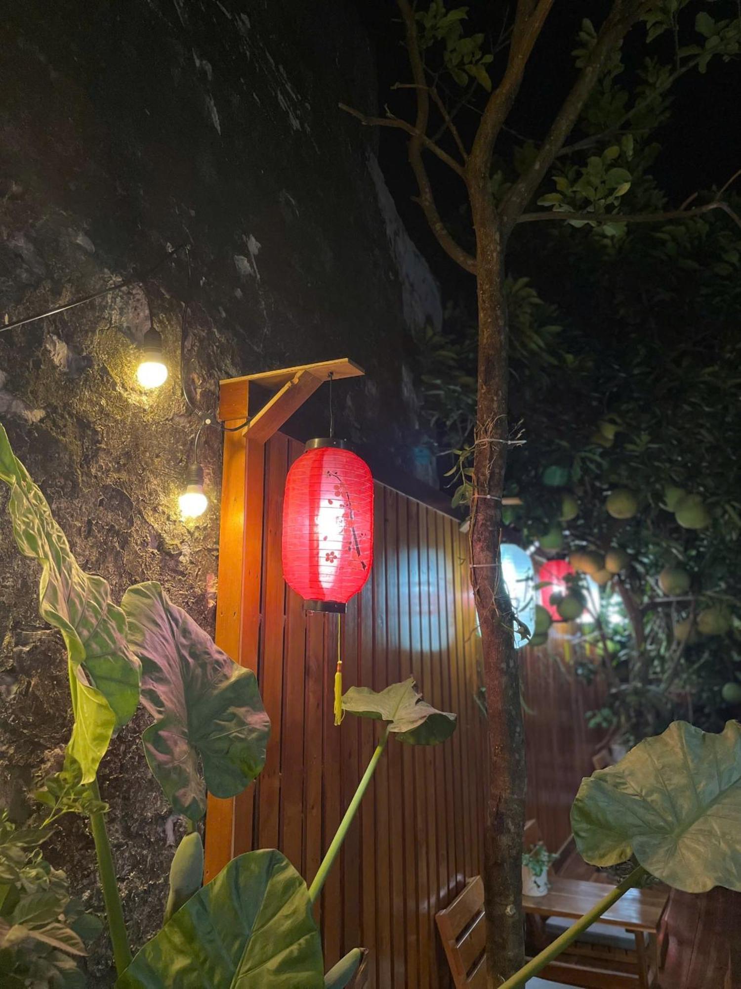 Ohayo Tam Coc Homestay Ninh Binh Eksteriør billede