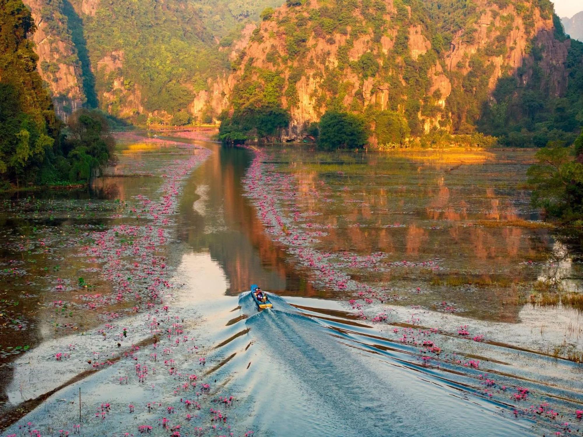 Ohayo Tam Coc Homestay Ninh Binh Eksteriør billede