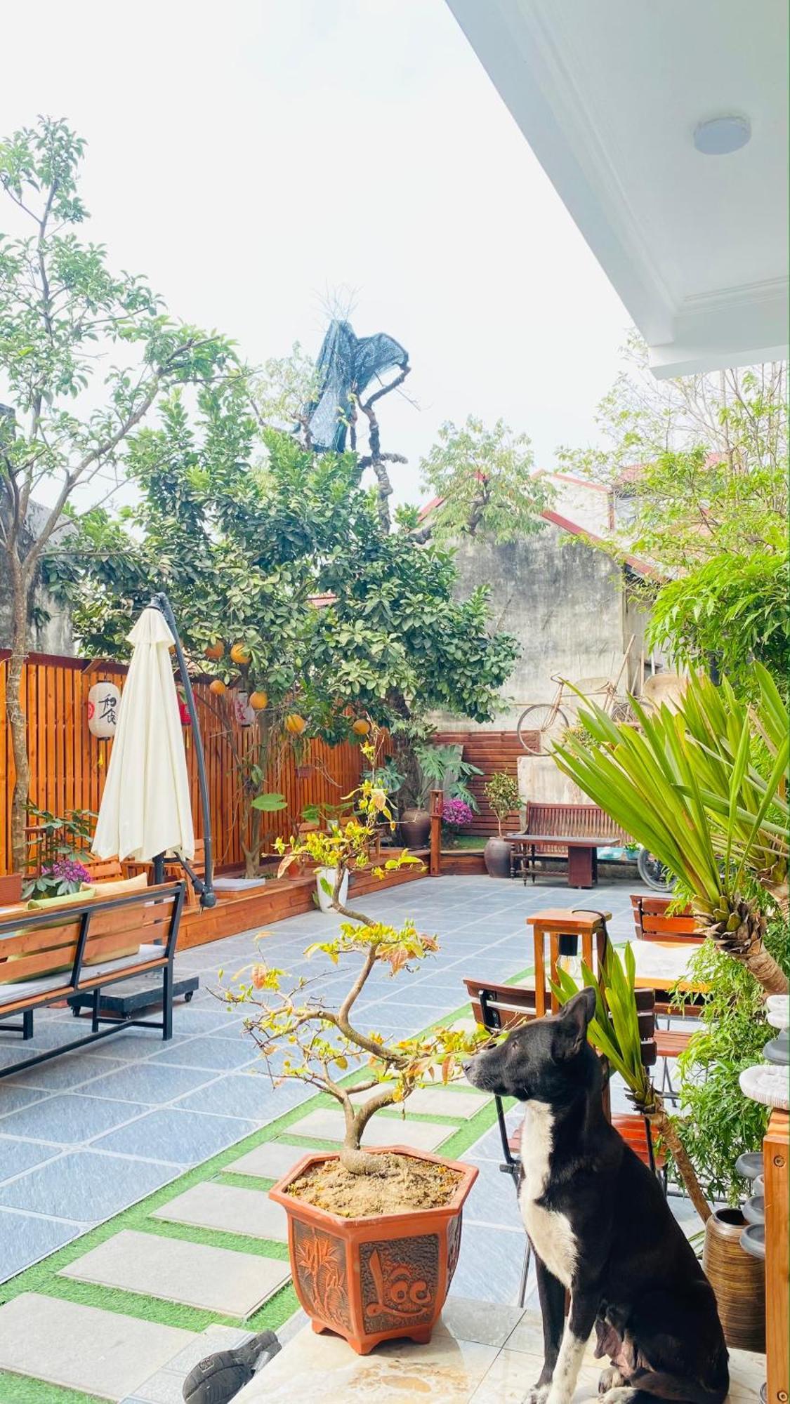 Ohayo Tam Coc Homestay Ninh Binh Eksteriør billede